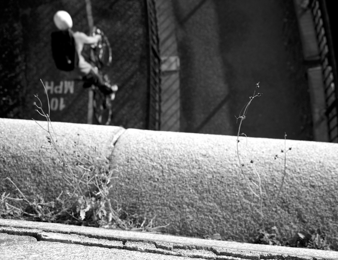 Bridge over the bike path between Lake Calhoun and Lake of the Isles.