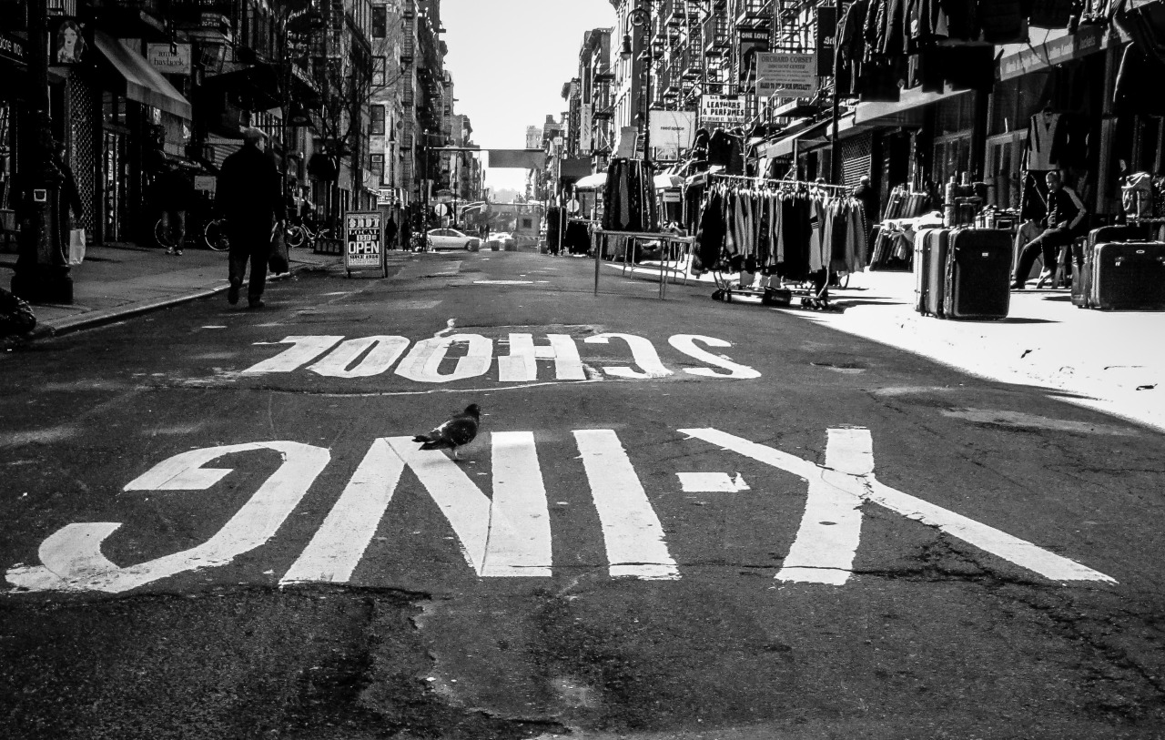 A pidgeon using a school crossing. Spring on Lower East Side