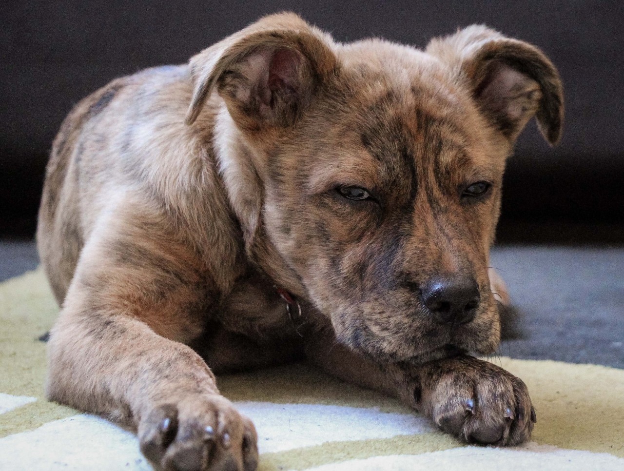 Sometimes I don’t think she trusts me.