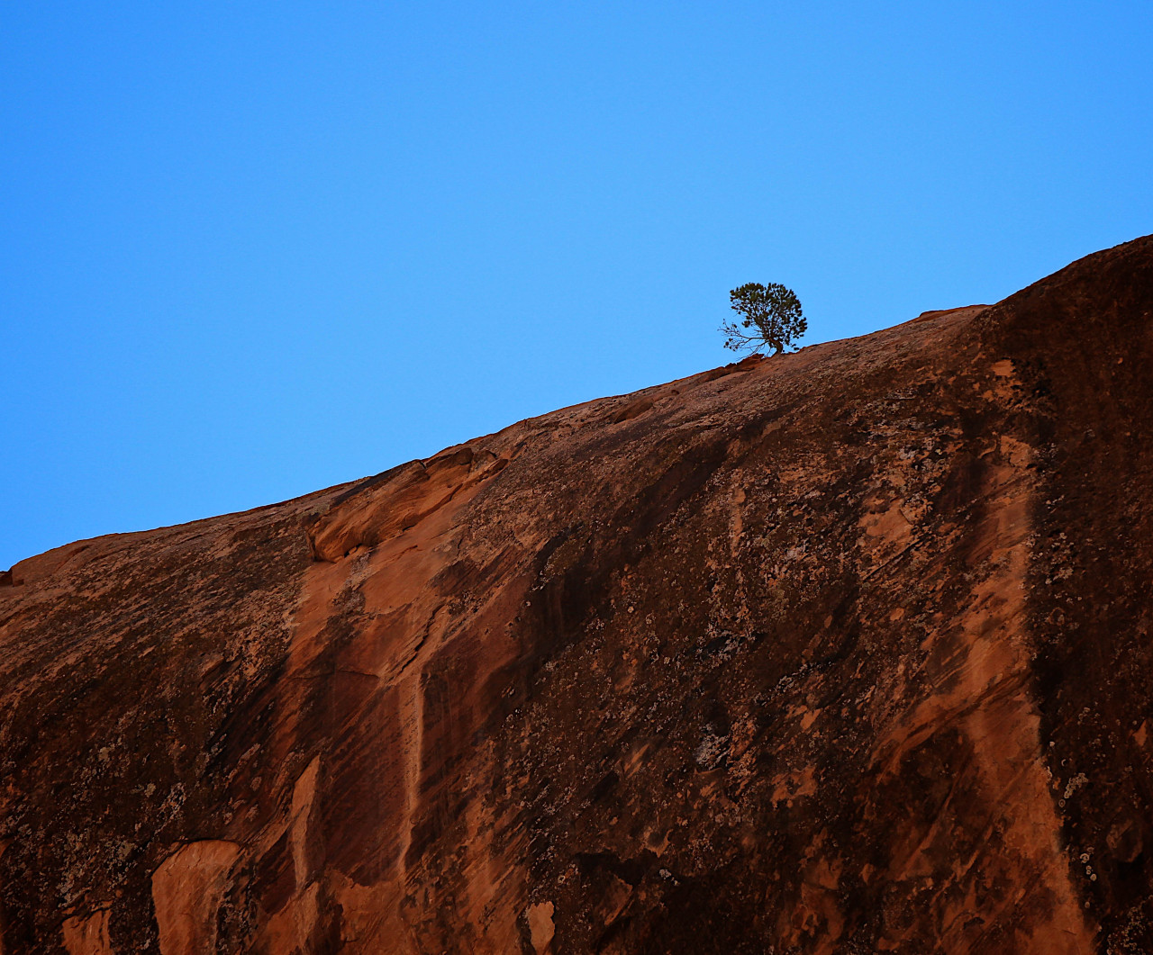 Went through my photos from last summer and realized I never uploaded my Utah pictures. Here’s some of my favorites from Moab last summer.