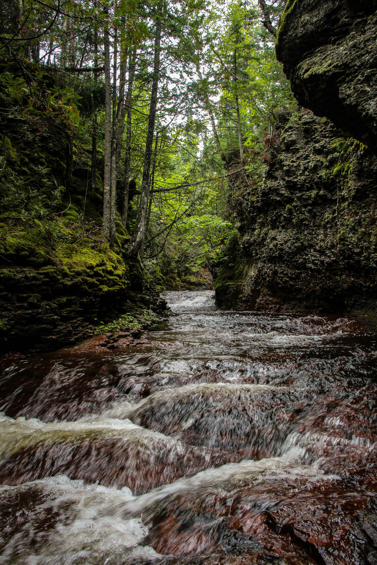 Minnesota north shore