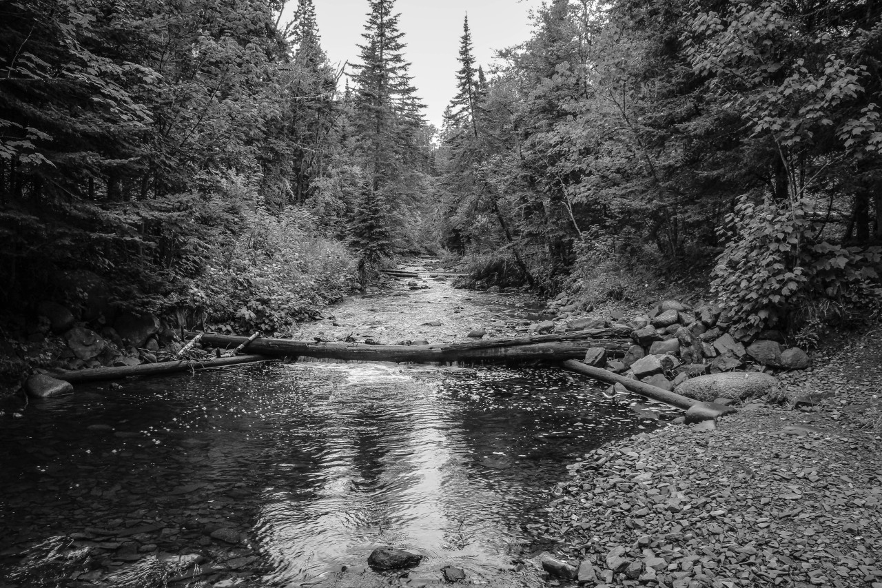 Minnesota north shore