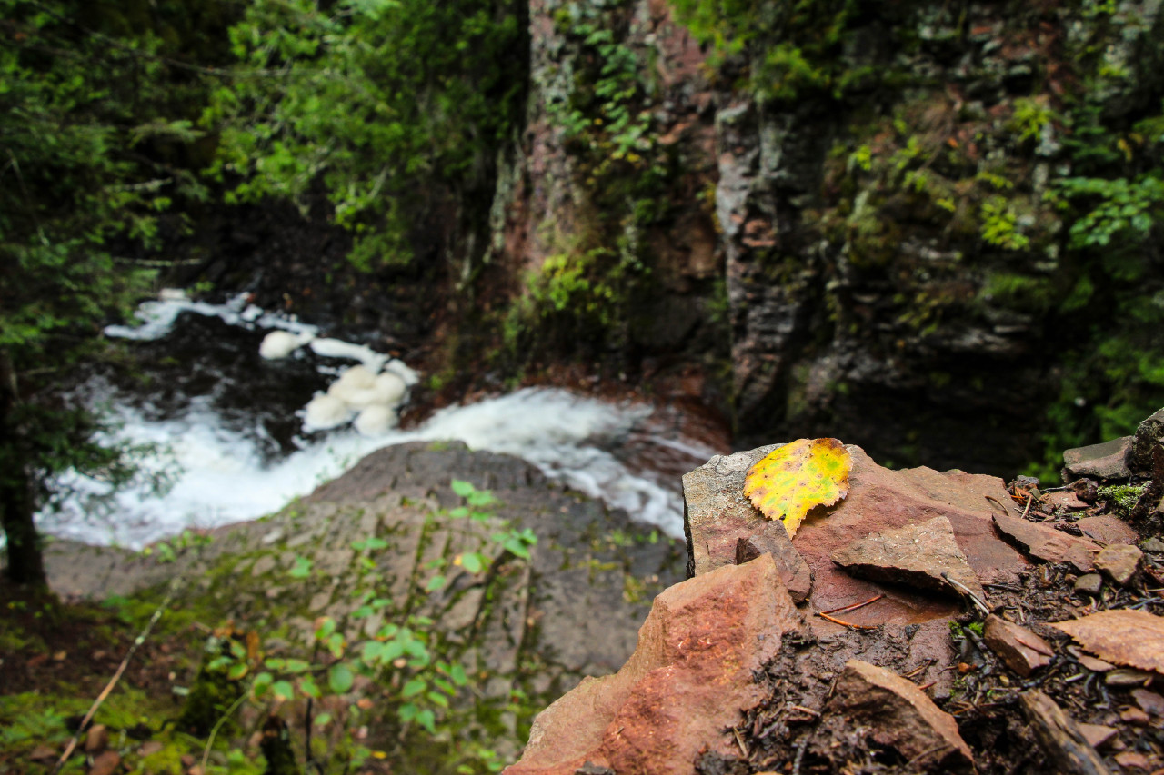 The first signs of fall.