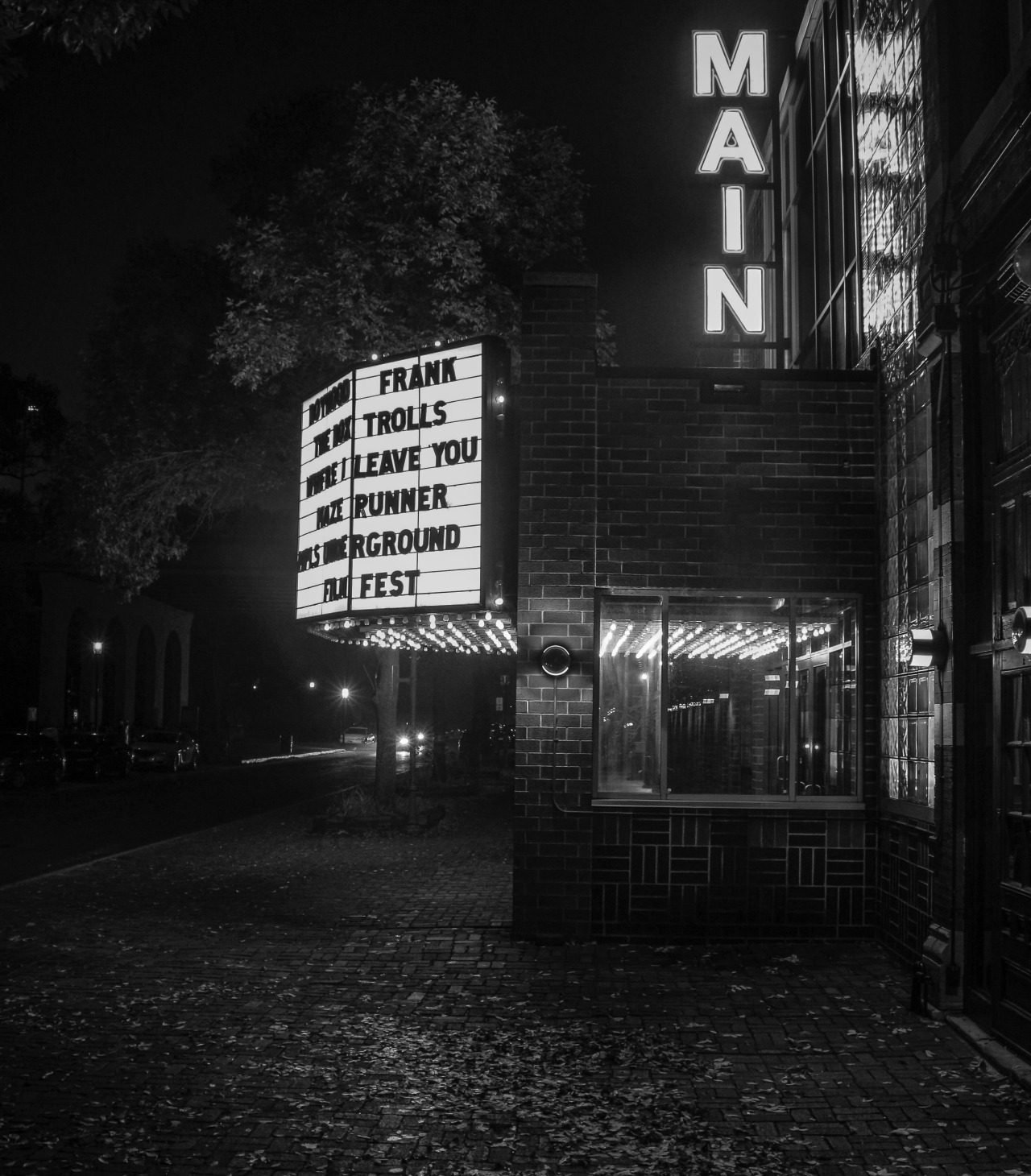 St. Anthony Main Theatre
