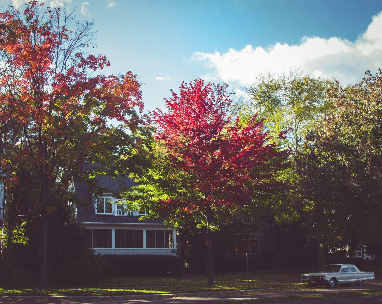 Autumn around Lake of the Isles