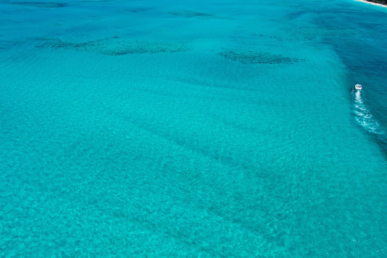 Some pics from our 10 days in the Turks & Caicos islands.