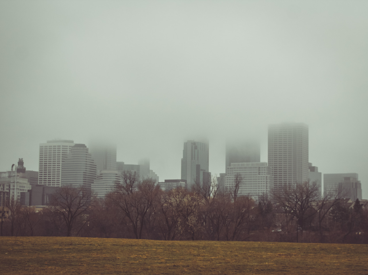 Inbetween snow covers