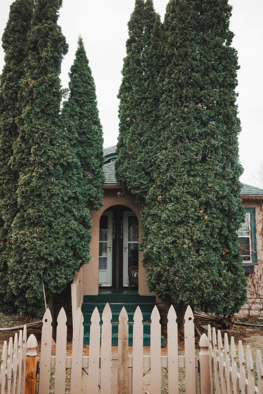 Trees framing a house in Standish Minneapolis