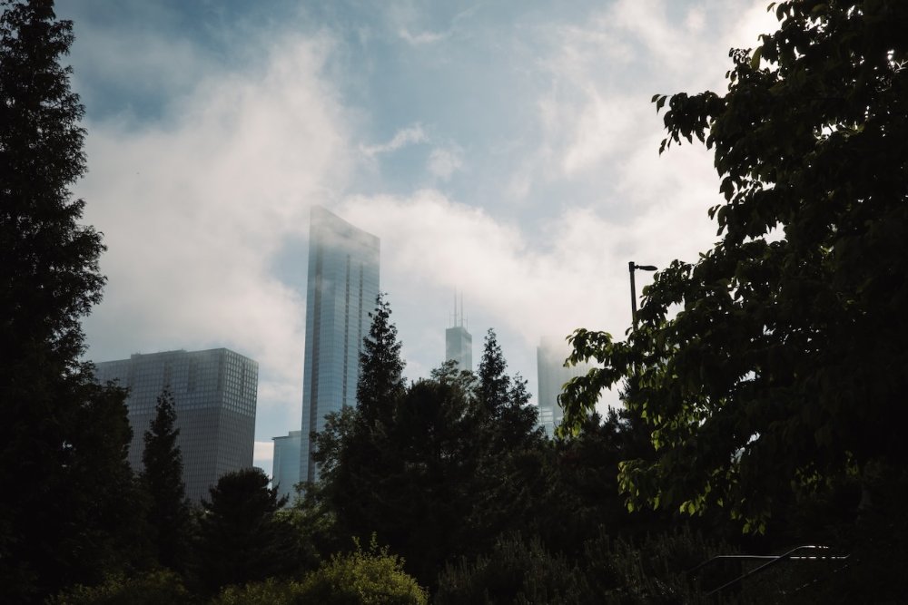 PNW vibes