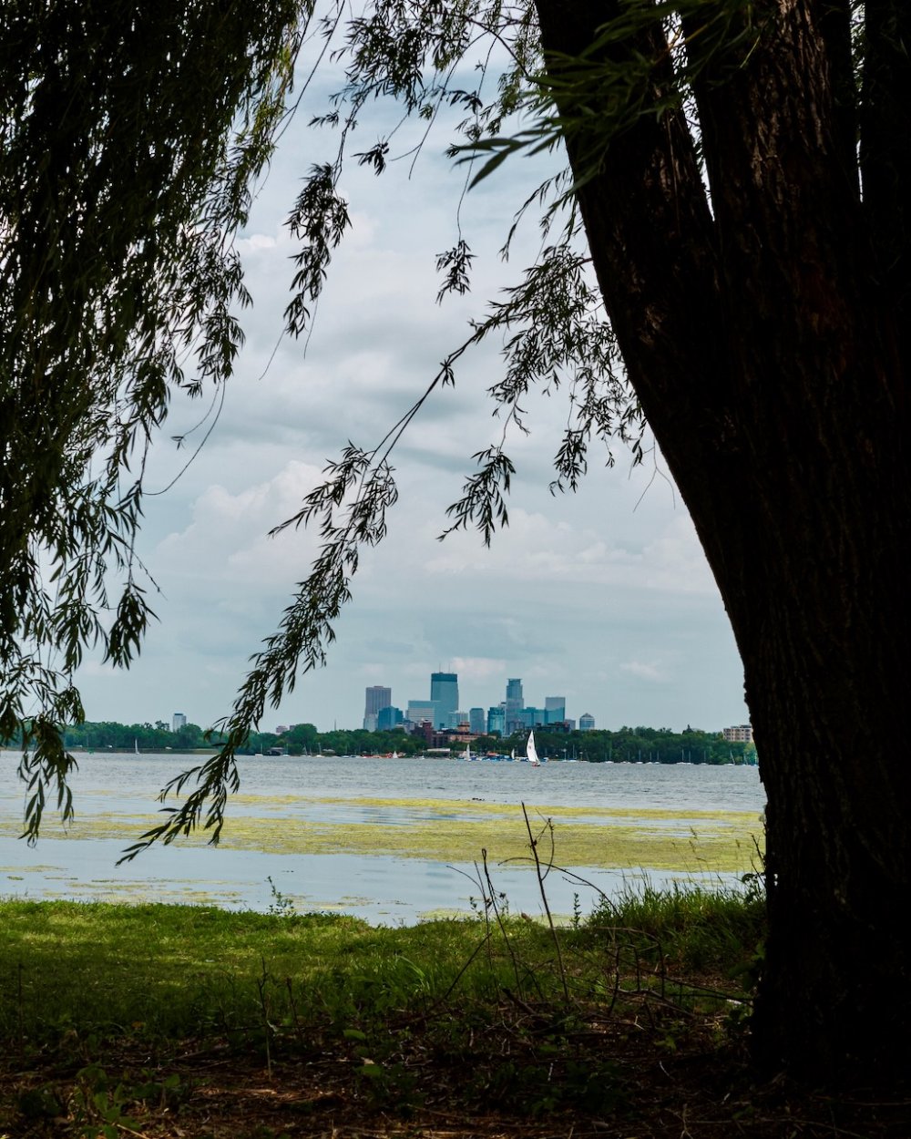 Downtown Minneapolis Skyline