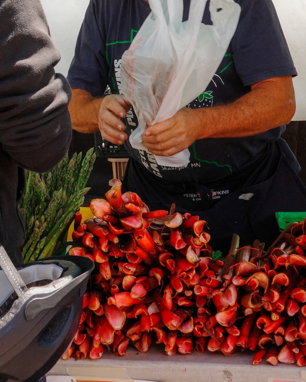 Kingfield Farmers Market - Minneapolis