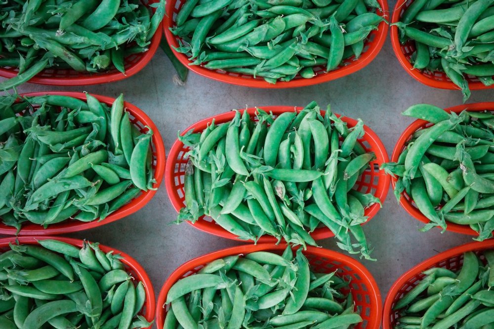 Kingfield Farmers Market - Minneapolis
