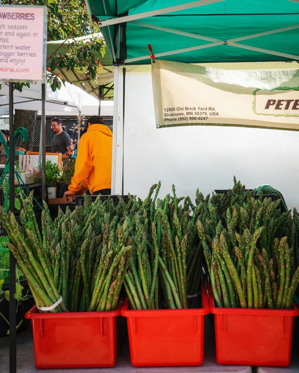 Kingfield Farmers Market - Minneapolis