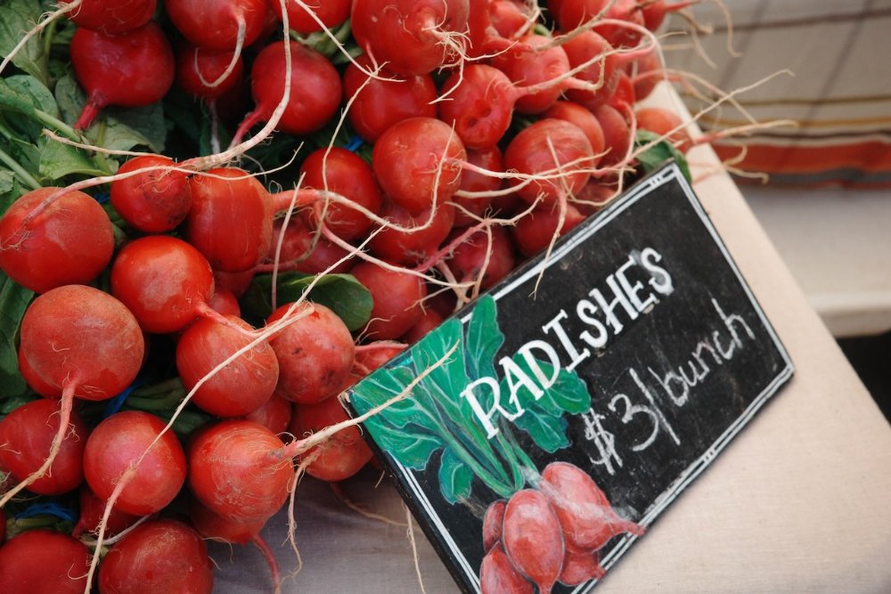 Kingfield Farmers Market - Minneapolis