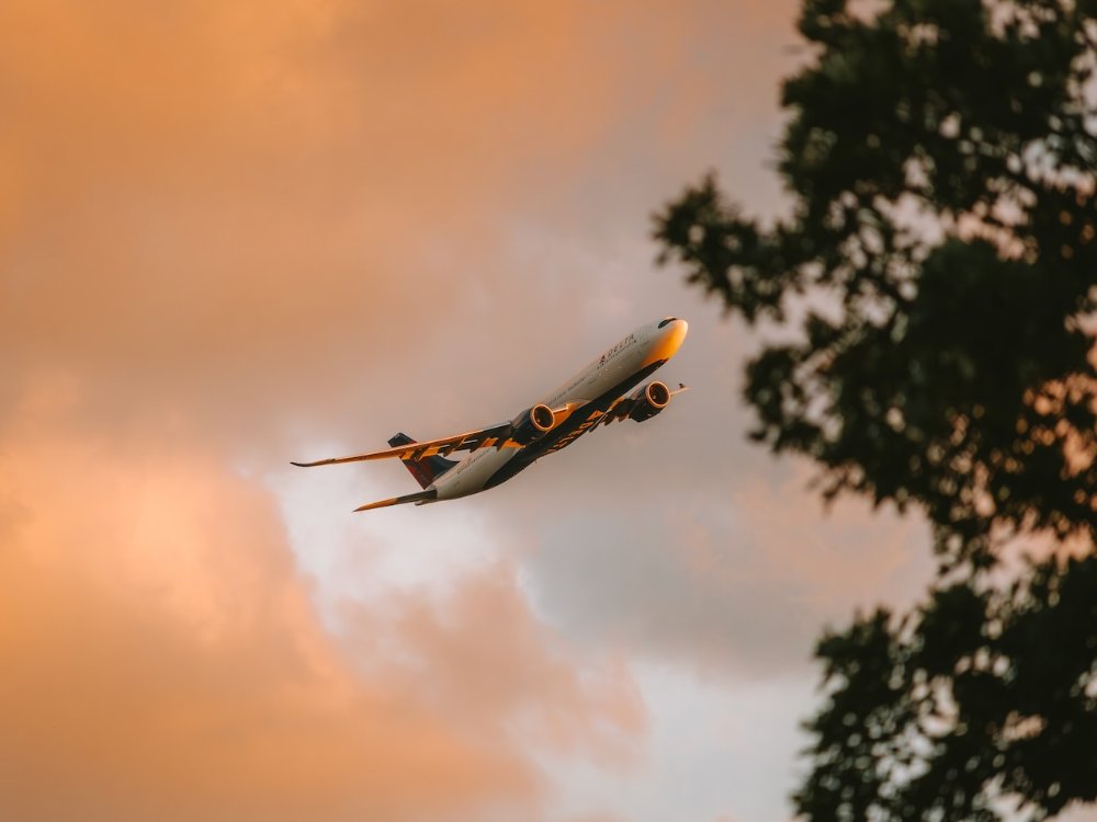 Delta A330 at sunset