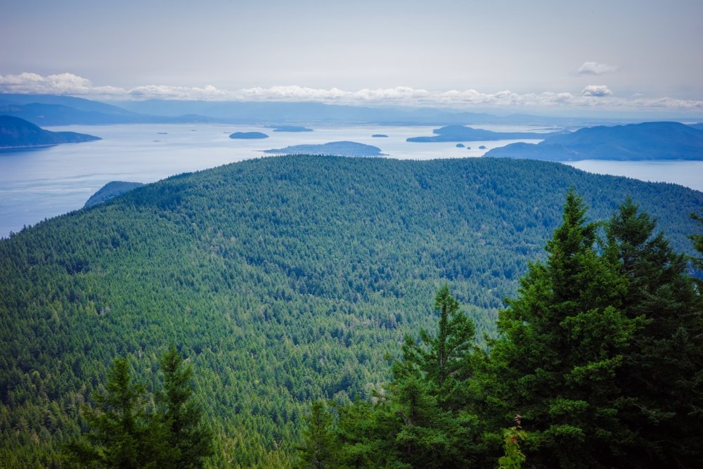 Mount Constitution - Orcas Island, Washington