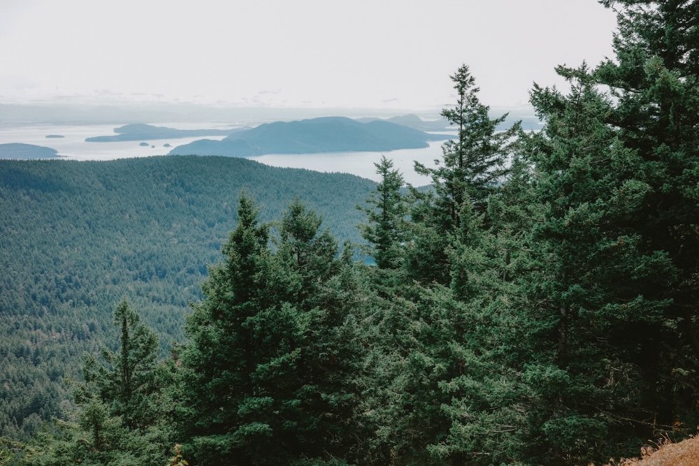 Mount Constitution - Orcas Island, Washington