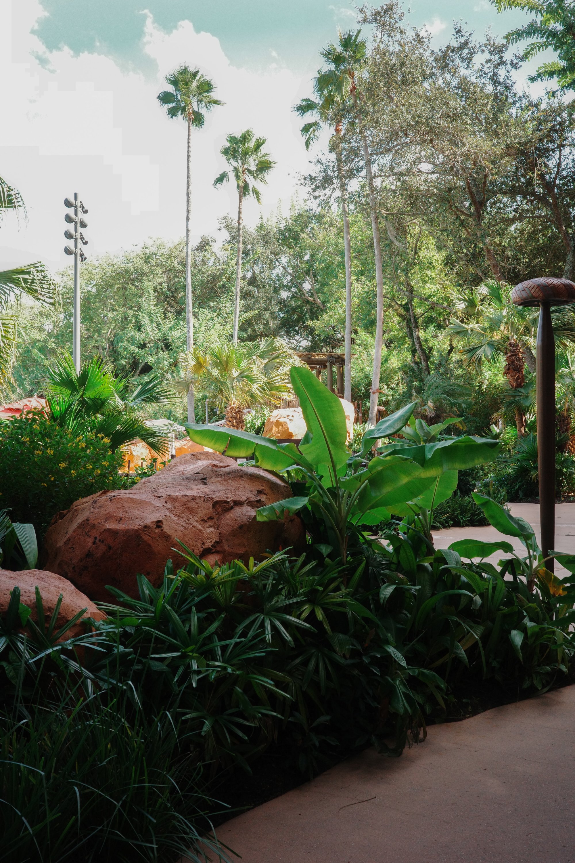 Disney Animal Kingdom