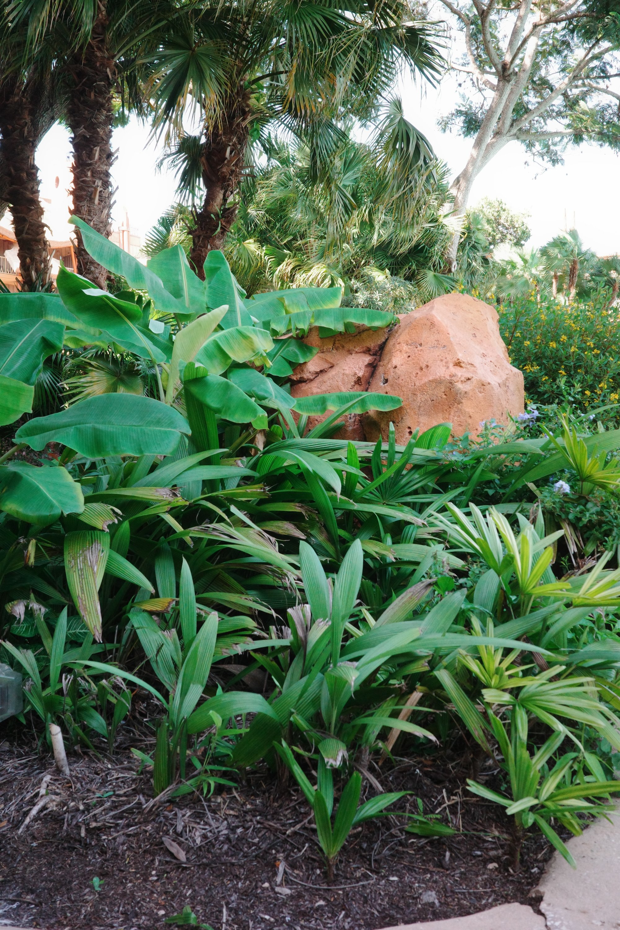 Disney Animal Kingdom