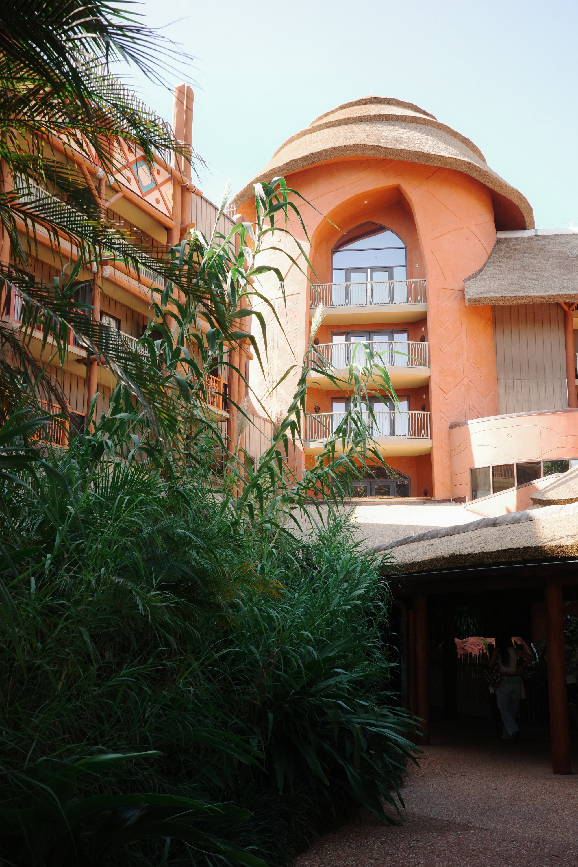 Disney Animal Kingdom