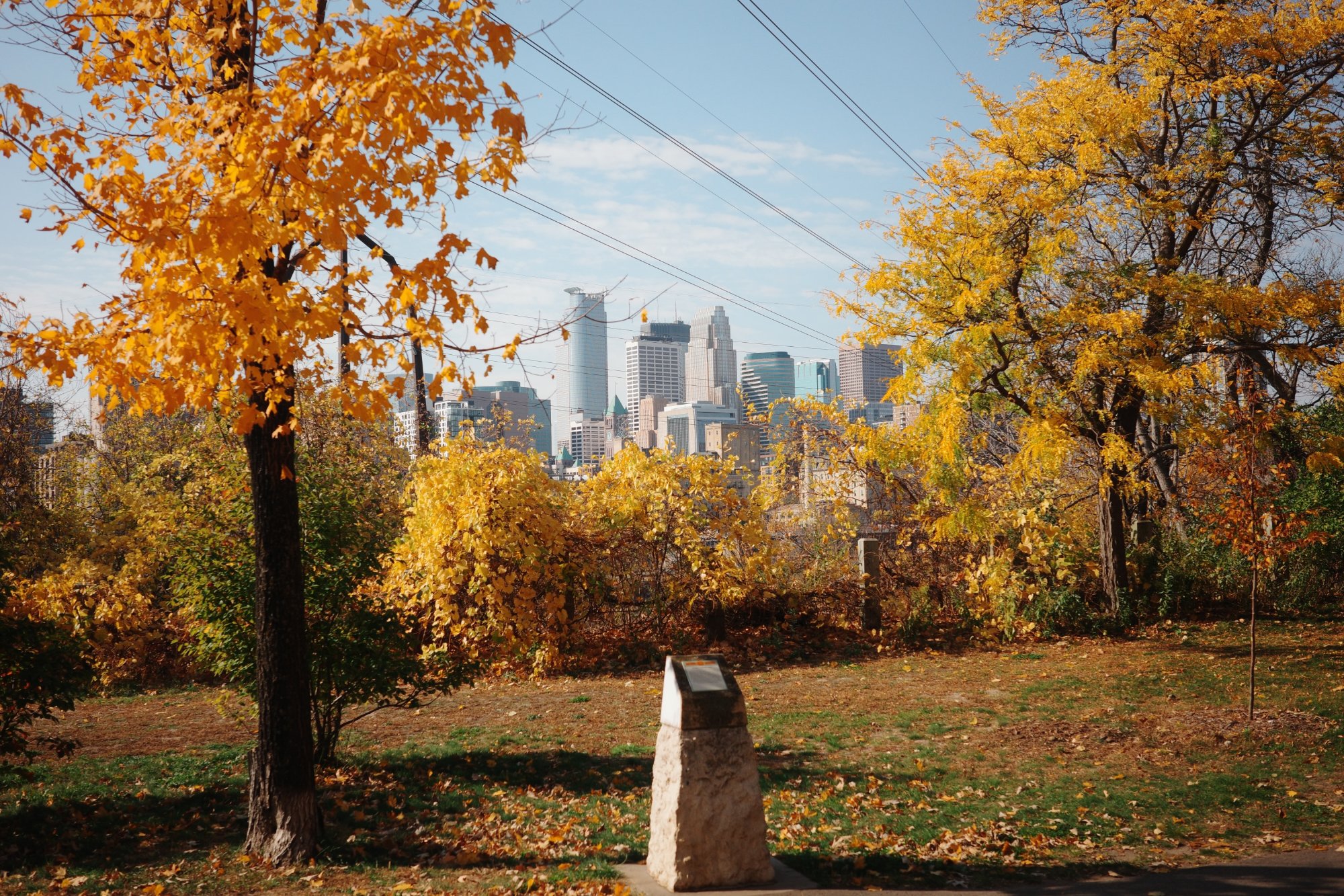 Fall in Minneapolis