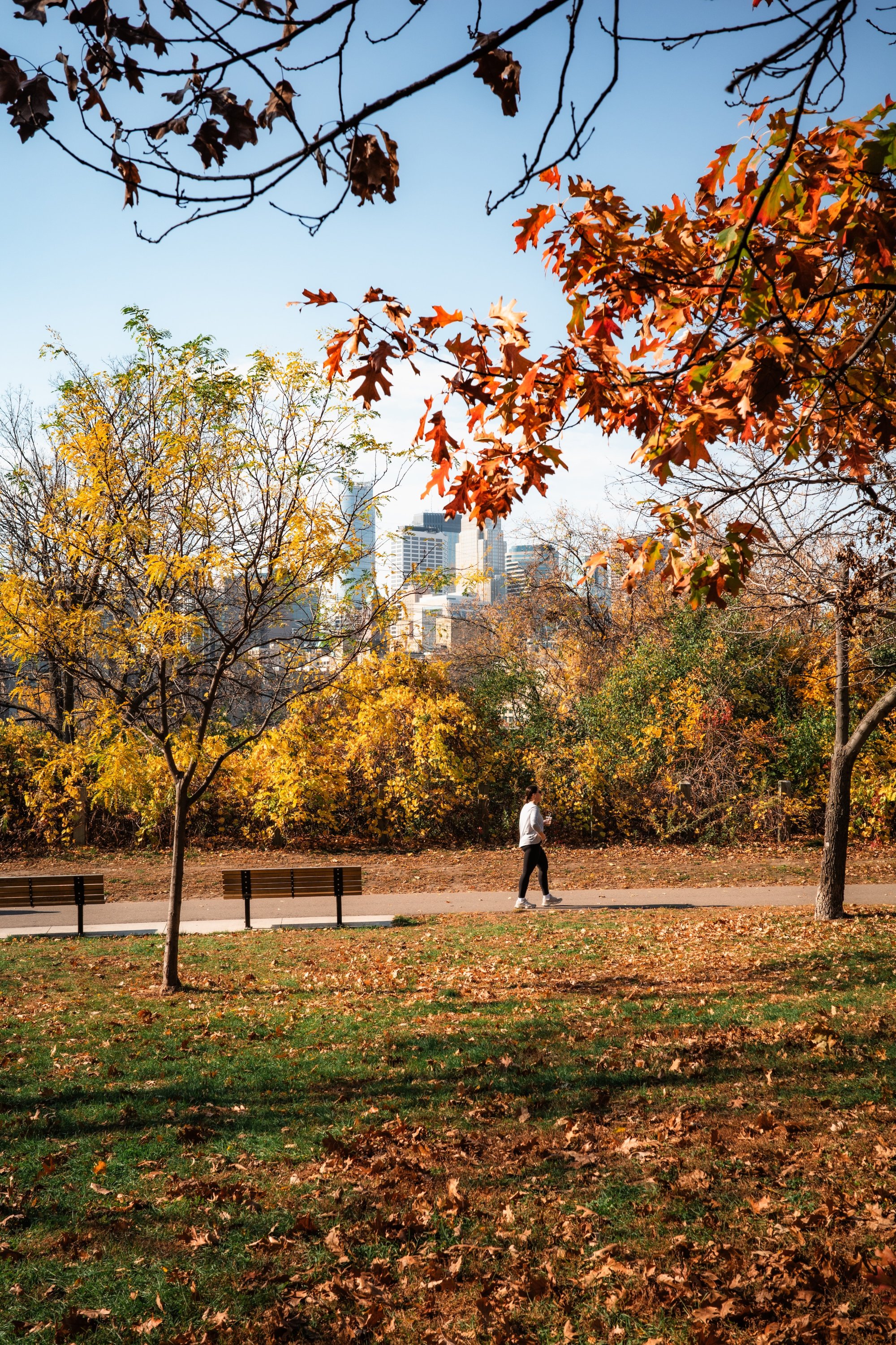Fall in Minneapolis