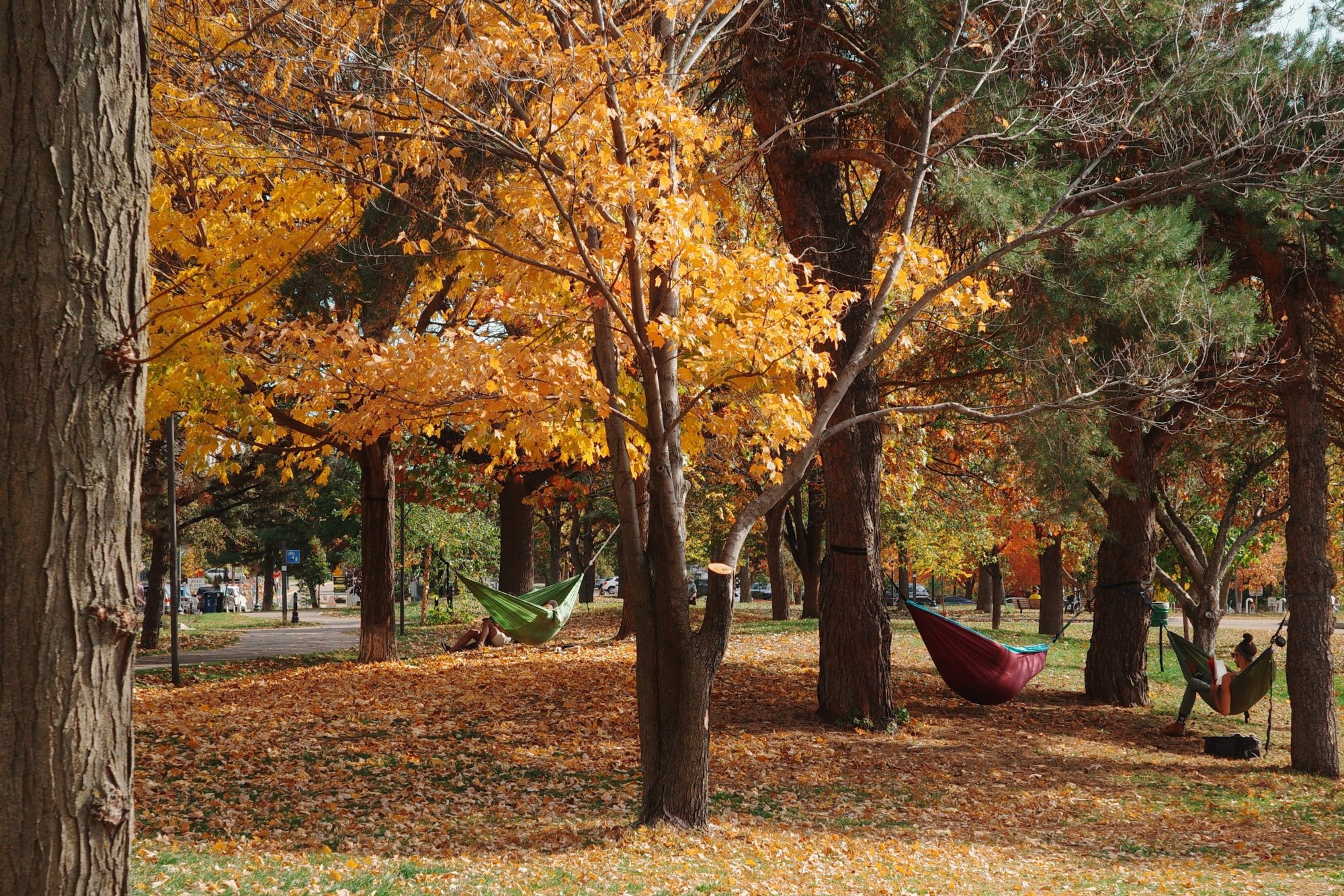 People in hammocks in St. Anthony Main